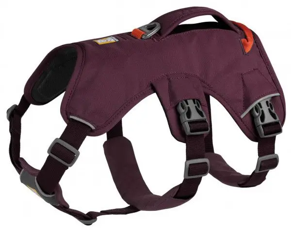 Ruffwear Webmaster harness