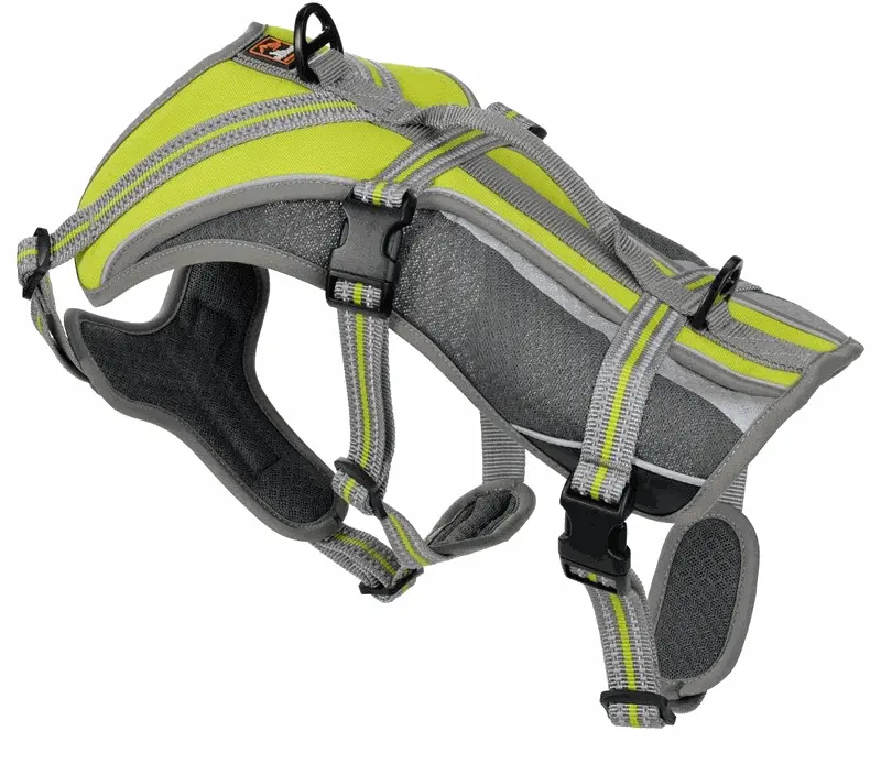 Dog’s Creek safety harness